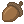 Acorn